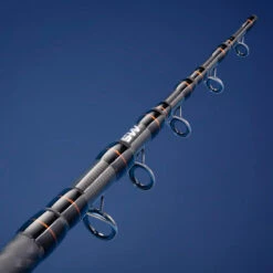 CANNE AU POSE SEACOAST LIGHT 500 350 MULTITIP TELESCOPIQUE PECHE EN MER -Philippe Pêche canne au pose seacoast light 500 350 multitip telescopique peche en mer 6