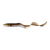 No Brand LEURRES SOUPLES EAU DOUCE REAL EEL 20CM 27G OLIVE X2