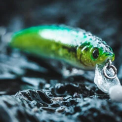 Poisson Nageur SAXTON 110SP Mahimahi Pêche Au Leurre En Mer 16 Poisson Nageur SAXTON 110SP Mahimahi Pêche Au Leurre En Mer -Philippe Pêche poisson nageur saxton 110sp mahimahi peche au leurre en mer 7