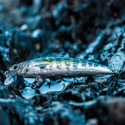 Poisson Nageur SAXTON 75 F BONITO Pêche Au Leurre En Mer 9 Poisson Nageur SAXTON 75 F BONITO Pêche Au Leurre En Mer -Philippe Pêche poisson nageur saxton 75 f bonito peche au leurre en mer 4