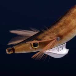 Turlutte Coulante Shallow EBIKA 2.5/105 Doré Chinchard Pêche Seiches/calamars 7 Turlutte Coulante Shallow EBIKA 2.5/105 Doré Chinchard Pêche Seiches/calamars -Philippe Pêche turlutte coulante shallow ebika 25105 dore chinchard peche seichescalamars 2