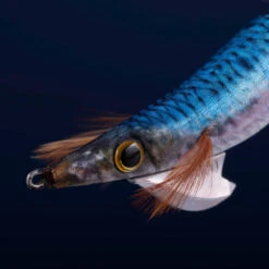 Turlutte Coulante Shallow EBIKA 3.0/120 Bleu Sardine Pêche Des Seiches/calamars 7 Turlutte Coulante Shallow EBIKA 3.0/120 Bleu Sardine Pêche Des Seiches/calamars -Philippe Pêche turlutte coulante shallow ebika 30120 bleu sardine peche des seichescalamars 2